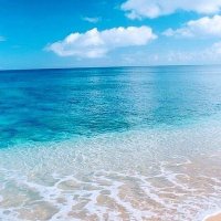 فيروز مصطفى (@f_mstfy91672) 's Twitter Profile