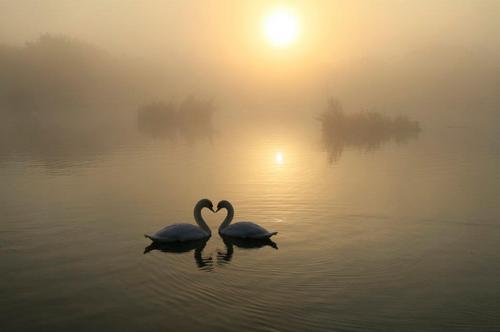 wall2wallphotos's profile picture. Wall2Wall Photographic. I have been taking photo's for the past 3 years, and enjoy covering a wide range of subject area's: Portraits, Landscapes, Wildlife ..