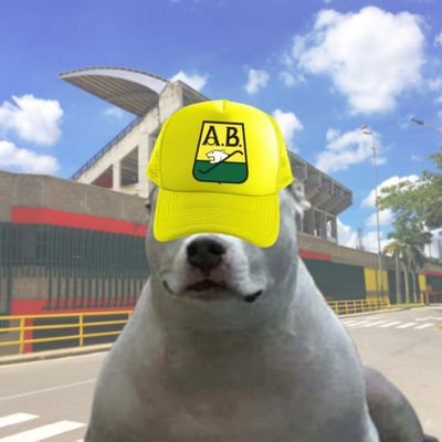 Es importante donde uno nace, es importante donde uno muere, pero más importante es donde uno lucha.🔰⚔️