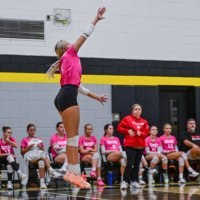 Alanah Fitch (@alanahfitch8) 's Twitter Profile