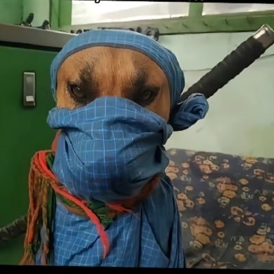 05BigMann's profile picture. Athlete⭐️