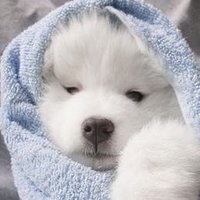 ฬอนอ ✿彡 (@meondialee) 's Twitter Profile Photo ฬอนอ ✿彡 (@meondialee) 's Twitter Profile Photo