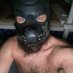 pup_dash (@pup_dash) Twitter profile photo pup_dash (@pup_dash) Twitter profile photo