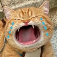 มุแม้ว (@csdevil_) 's Twitter Profile