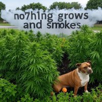 Will (@no7h1ng) 's Twitter Profile Photo