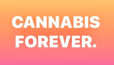 Cannabis Forever 💨💨💨💨💨💊💊💊 Click the link
https://t.co/JES42Aal3p