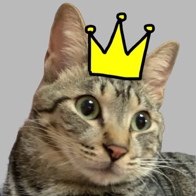 ゆいかさんのプロフィール画像