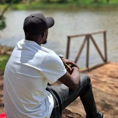 lumuonix's profile picture. Software engineer and Developer.