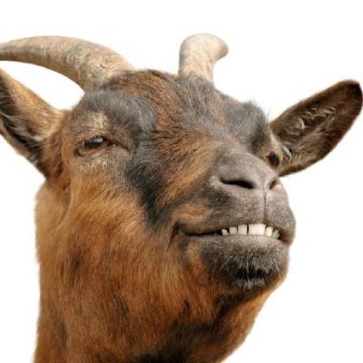 Software Engineer | Working on @rustlang dev tooling 🦀 Ex-C++/gamedev 🎮 He/him