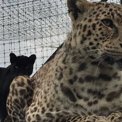 tokenccc19's profile picture. 