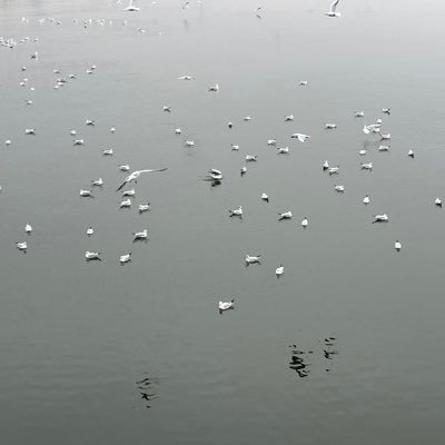 zhengyuan140203's profile picture. 