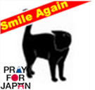 英語教えてます。多読、読書、ことば、外国、旅行、音楽、ねこ、テニス、車、iphone、PC、デジ物、資産運用、お得情報、新しいもの、美味しいもの、便利なもの、珍しいもの、が大好物です。読書記録はbooklog使ってます。