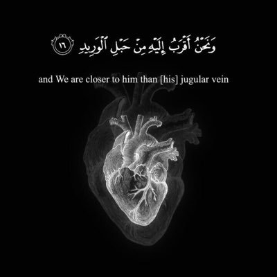 Qr_Ayat's profile picture. 