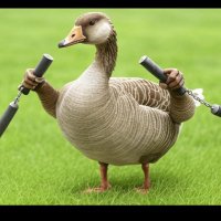 Goose (@trm161) 's Twitter Profile Photo Goose (@trm161) 's Twitter Profile Photo