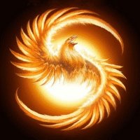 Le Phénix Blanc (@darkhell666fr) 's Twitter Profile