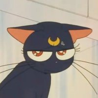 anastasiaᔣš© (@gr0ceryline) 's Twitter Profile Photo anastasiaᔣš© (@gr0ceryline) 's Twitter Profile Photo