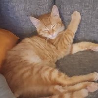 kudret gürkan demir (@kudretgurkan) Twitter profile photo