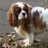 Melissa_bastin's profile image