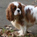 Melissa Bastin - @Melissa_bastin - Twitter