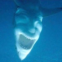 RonWagz (@tsdyanne666) 's Twitter Profile