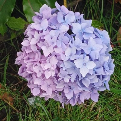 1zzie4316's profile picture. Having fun - She/They ❤️