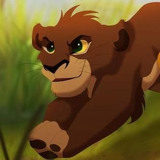 KodaTLK3_'s profile picture. Hello everyone! my name is Koda! My parents are @LionGuardsKiara and @LionKingKovu__ , I have 2 younger brothers Khari, and Kondo. #Mate @LeahTLK3