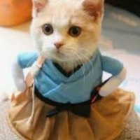 Grinsekatze (@grinsek12239187) 's Twitter Profile Photo Grinsekatze (@grinsek12239187) 's Twitter Profile Photo