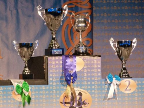 gbchamps's profile picture. The Twitter account for the Great Britain Championships! Come for the dancing, stay for the craic!