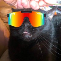 Sbeve (@thesbeve_) 's Twitter Profile Photo