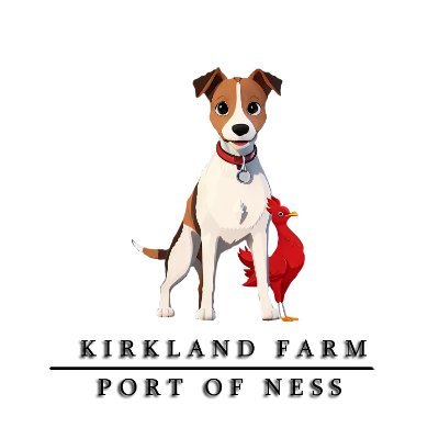 Rare poultry farmer based in the Port of Ness, Outer Hebrides. Doing art projects to raise extra money for the farm.