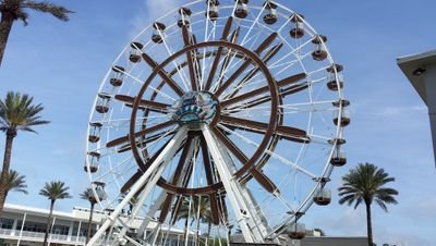 rootbeerfl14151's profile picture. Wife of a Navy https://t.co/5iuVMitvFC mom. Christian who cherishes my beliefs. Praying for our President to be, his family, friend's and believer's.