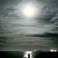 Poppy (@poppycocktails) 's Twitter Profile