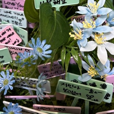 ばんたん⟭⟬好きの大人すぎるARMY ⟬⟭ 🐟🐱🐨🌈🐥🐯🐰💜最大の目標は2025年まで健康に過ごし晴れて7人に会えること ヨンジュン♡のMOA💚(別アカ)で🚪叩き中| Ꙭ)و゙ ㌧ラッパーが好き🤍いつも🇰🇷✈️行きたい