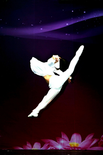 bostonesecom's profile picture. The Largest Asian American News Website in Boston