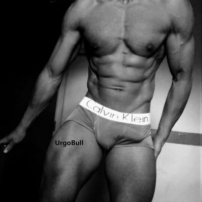 onlyfans/urgobull
fansly/urgobull
pornhub/urgobull
https://t.co/6PVtdIk1mD
- DM for collab!
- BULL in the lifestyle since 2017.