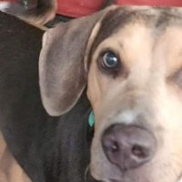 Willow (@my_info642184) 's Twitter Profile