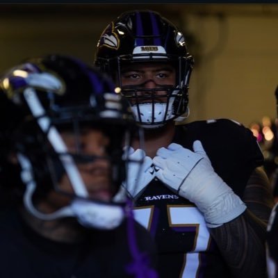 ravens ~ bulls ~ mavs ~ cubs ~ blackhawks ~ illini | Faalele Truther | Pat Bryant Truther