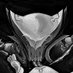 The Valkyr (@valkyrtheowner) Twitter profile photo The Valkyr (@valkyrtheowner) Twitter profile photo