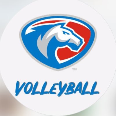 The official Twitter of Hill College Rebels Volleyball. | Instagram: @Hillcollegevball