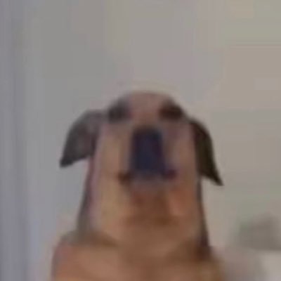 𝙎𝙤𝙛𝙛 𝘿𝙖𝙣 𝘼𝙝さんのプロフィール画像