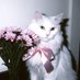mercurial venusian (@mercurialv3nus) Twitter profile photo mercurial venusian (@mercurialv3nus) Twitter profile photo