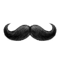 kumis tebal (@kkkuuummistebal) 's Twitter Profile