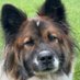Tholigo (@tholigo) Twitter profile photo Tholigo (@tholigo) Twitter profile photo