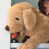 めぐ (@jsm_m22) 's Twitter Profile