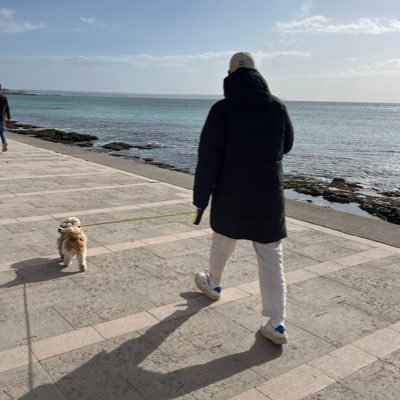 stegenite's profile picture. 