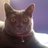 djoppa123's profile image