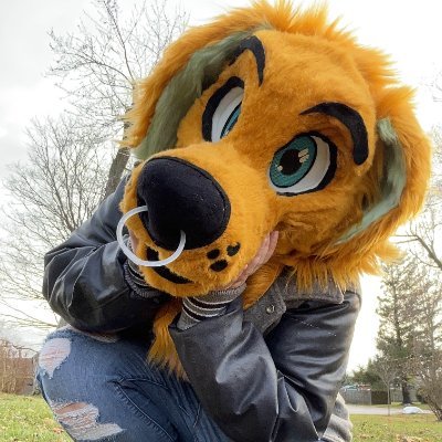 Buddy the golden retriverさんのプロフィール画像