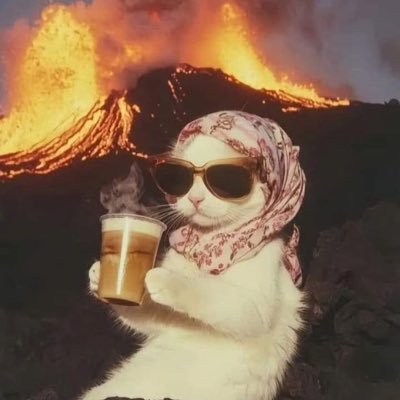 pau_myn's profile picture. 