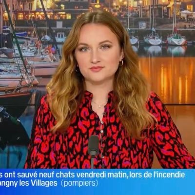 Journaliste @BFM_Normandie à Caen 🍎 passée par @BFMParis @CNEWS | ex @IPJdauphine / académie @ESJLille