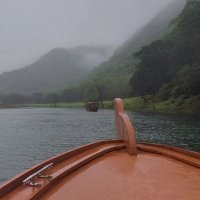 ꜰᴀᴛᴍᴀ (@kiftammy) 's Twitter Profile